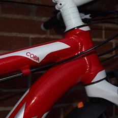 Trek Cobia 29er