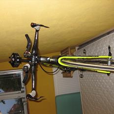 Fuji D-6 Matt reed