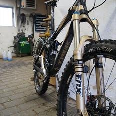 Trek Remedy 9