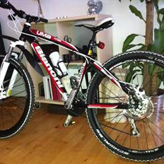 Bianchi kuma off-road 1012