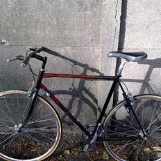 Shimano gironelli