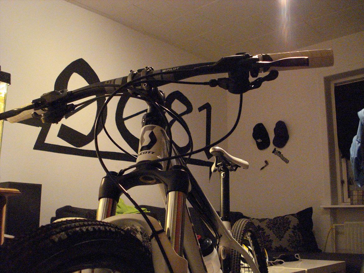 Scott scale  billede 2