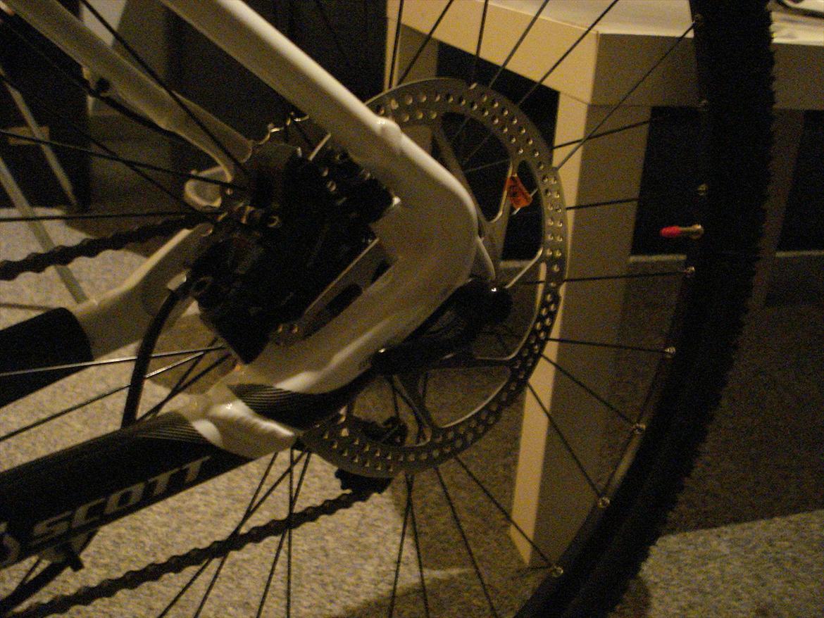 Scott scale  billede 9