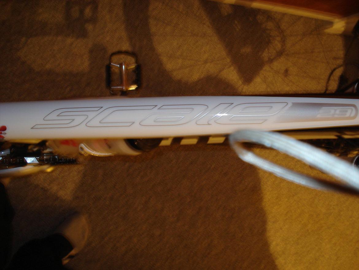 Scott scale  billede 12