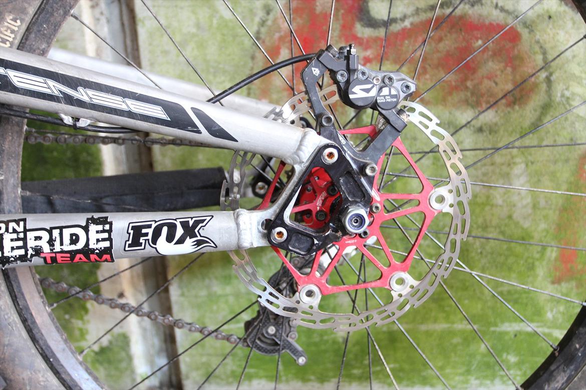 Intense M9 billede 6