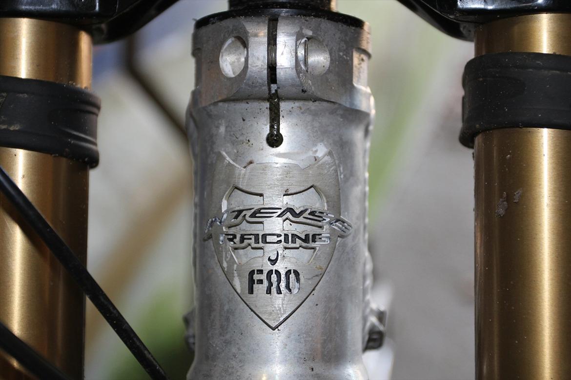 Intense M9 billede 8