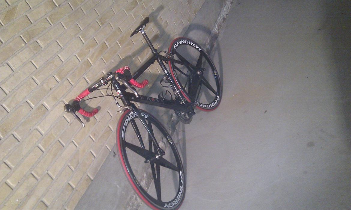 De Rosa King billede 5