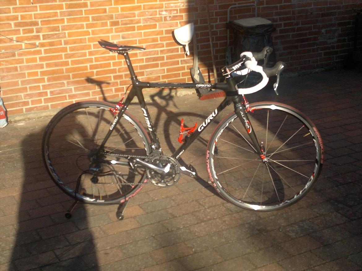 Guru Carbonio billede 17