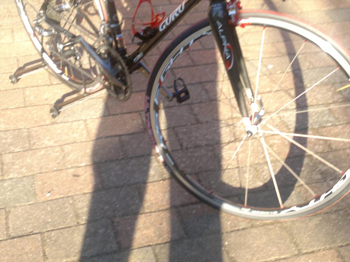 Guru Carbonio billede 18