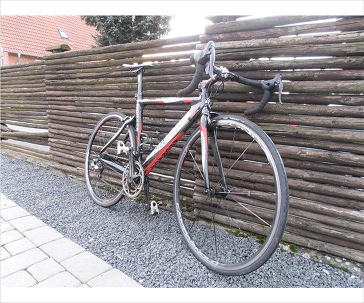 Prorace Chrono Carbon billede 1