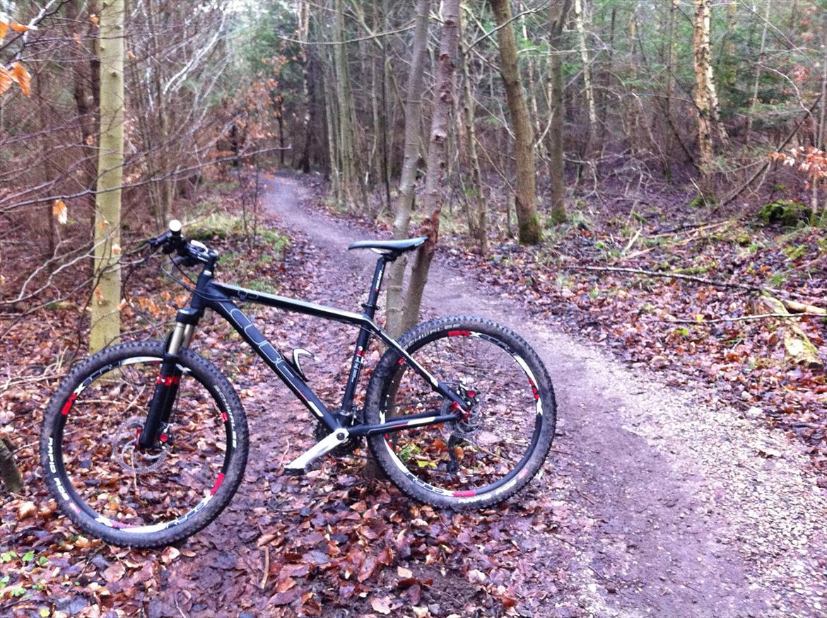 Cube LTD Race 2011 billede 4