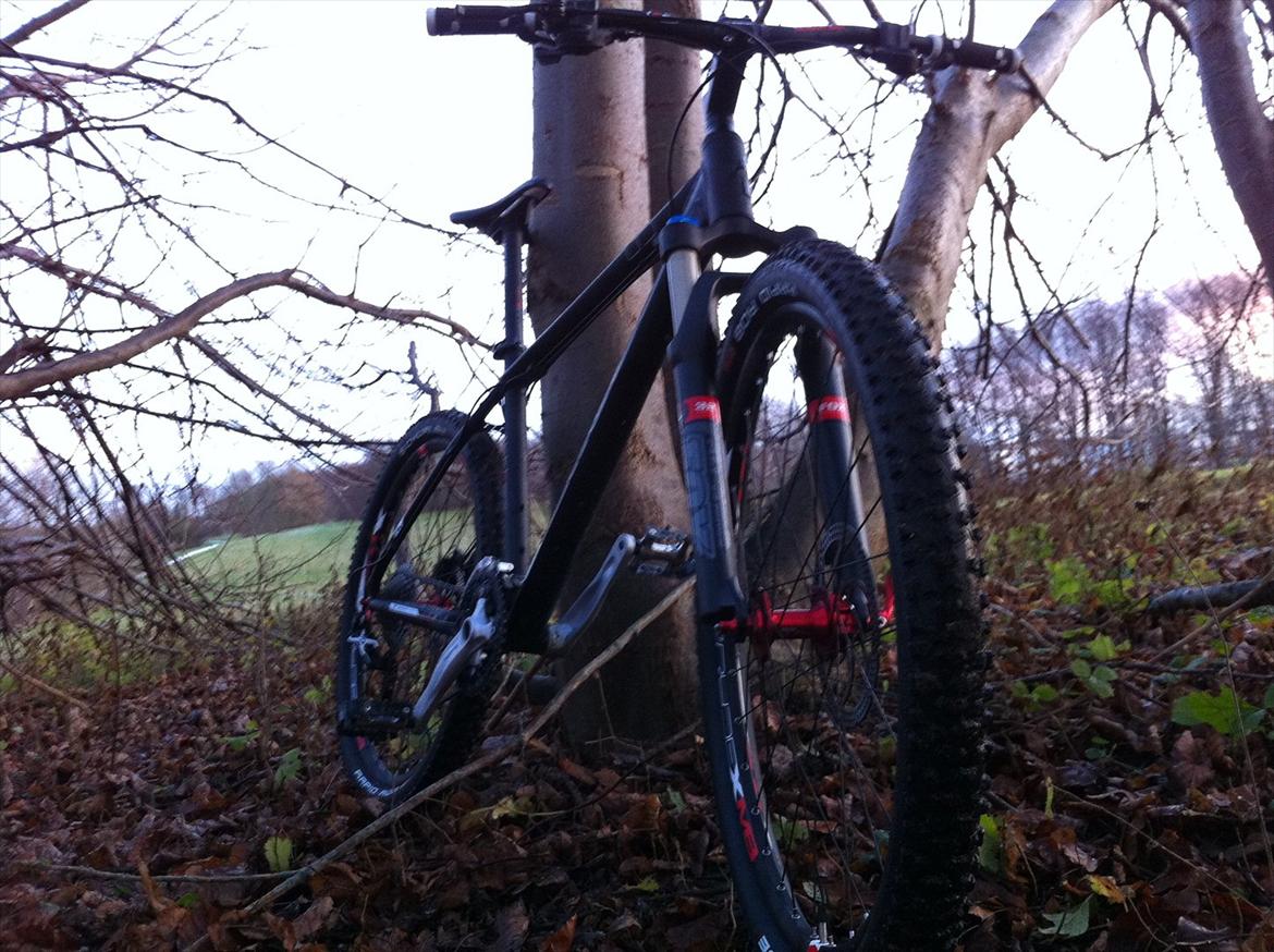 Cube LTD Race 2011 billede 11