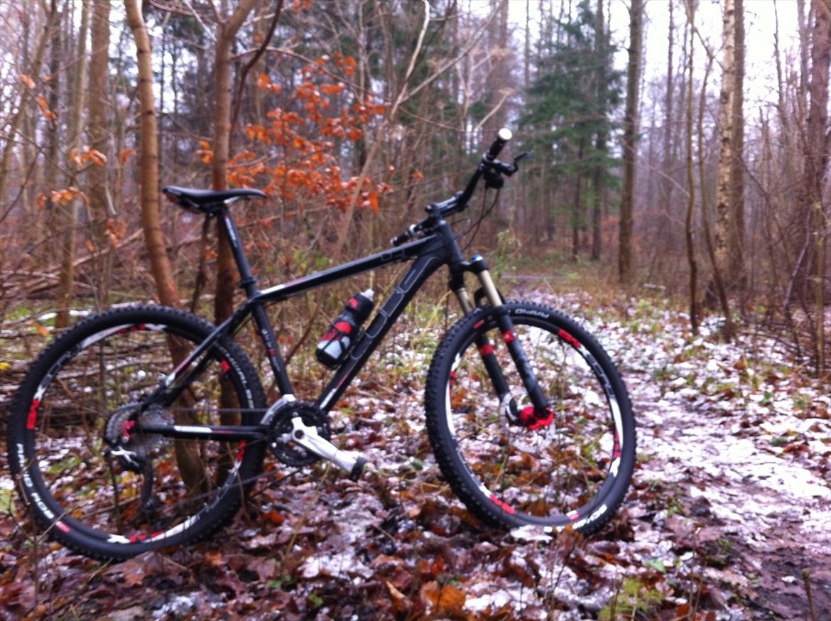 Cube LTD Race 2011 billede 14