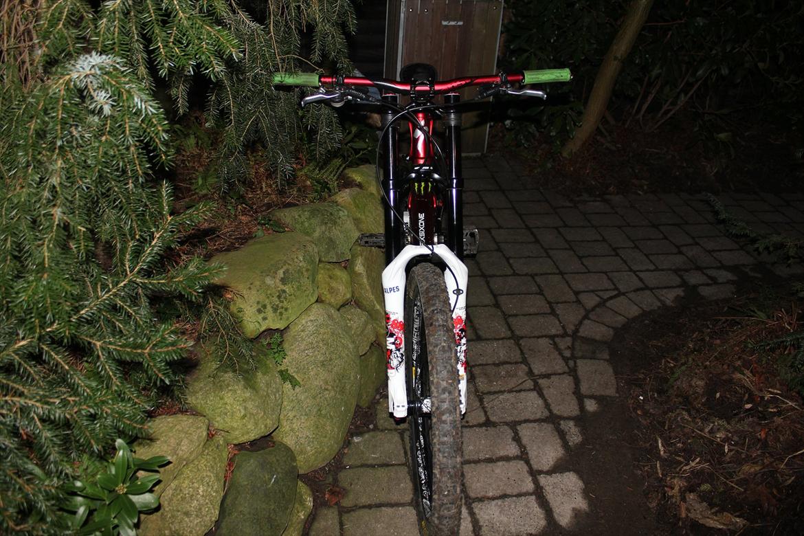 Specialized demo 8 2007 billede 2