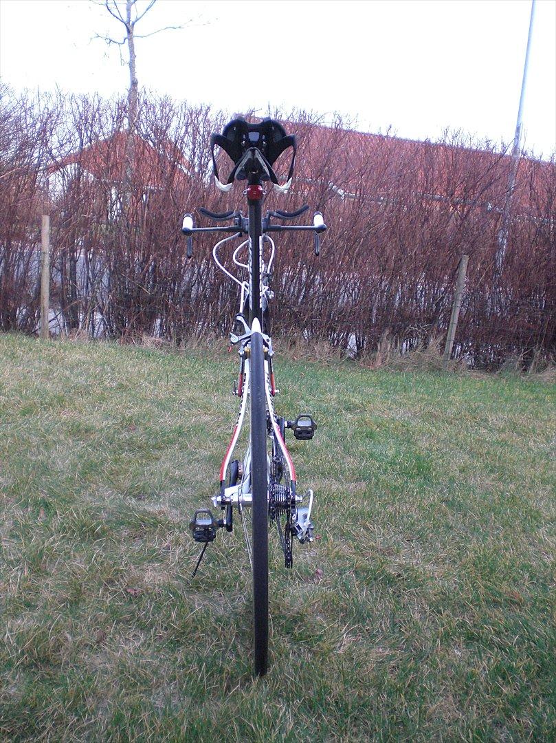 Bianchi Pico D2 billede 19