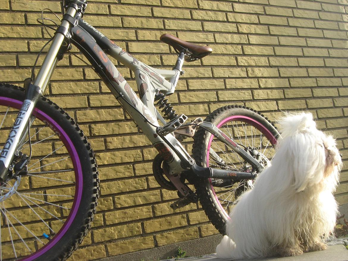 Specialized big hit 1 billede 1