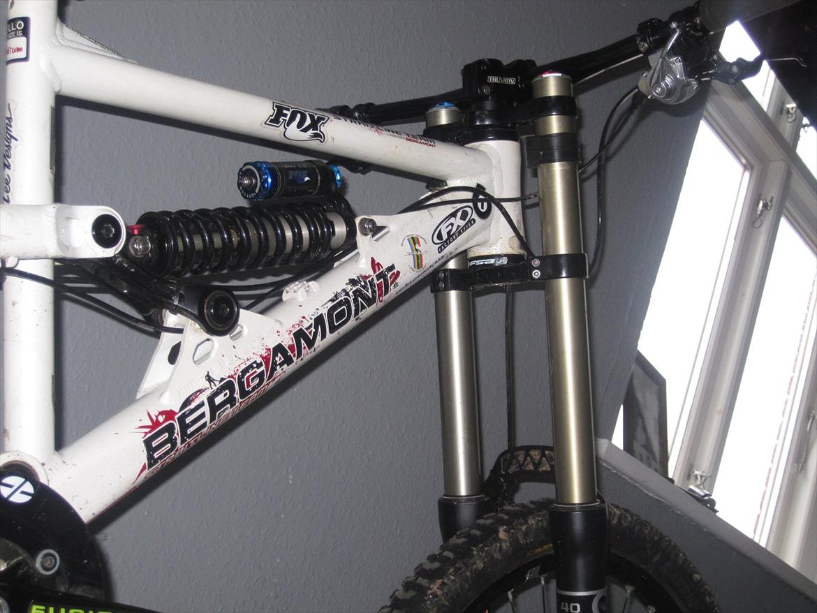 Bergamont Straitline Team billede 8