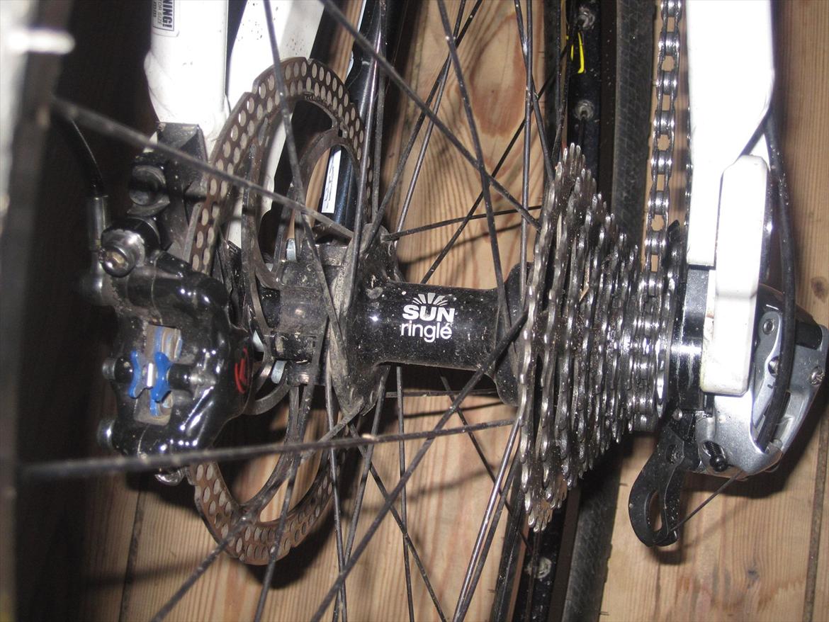 Bergamont Straitline Team billede 13