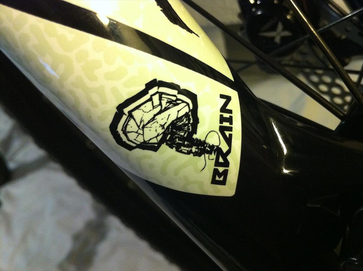 Specialized Epic Expert Carbon 29er 2012 billede 5