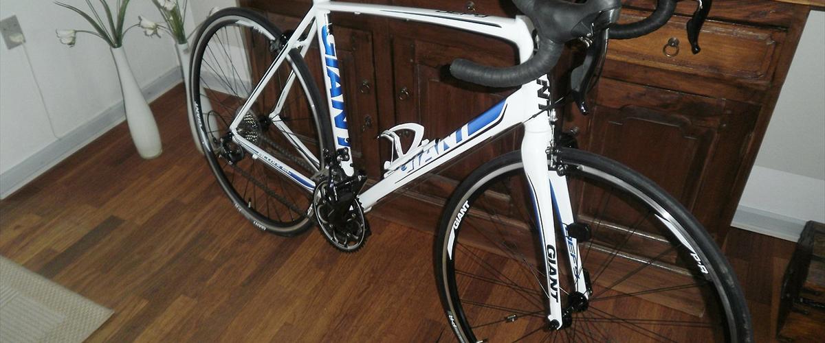 giant defy 1 2009