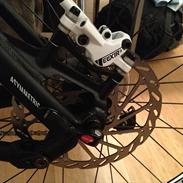 Canyon Nerve AM 6.0