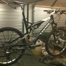 Canyon LUX MR