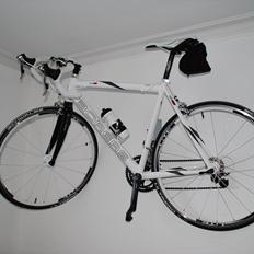Boreas eos  sx