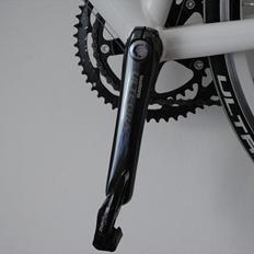 Boreas eos  sx