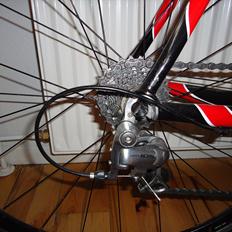 Principia Weave C12T