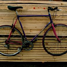 Peugeot PE200 Tourmalet