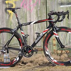 T-bikes Shark Bull (SOLGT 13-08-13)