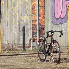 T-bikes Shark Bull (SOLGT 13-08-13)