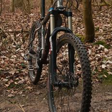 Whyte 19 Titanium