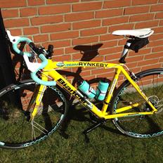 Bianchi Via Nirone 7 Team Rynkeby 2012 - SOLGT