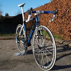 Storck scenero