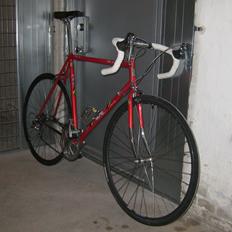 Olmo 50th anniversary