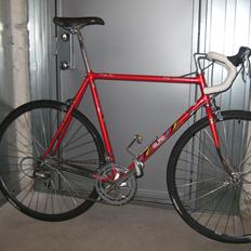 Olmo 50th anniversary