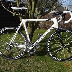 Principia evolution weave c16t