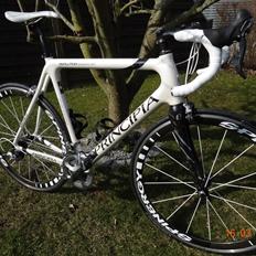 Principia evolution weave c16t