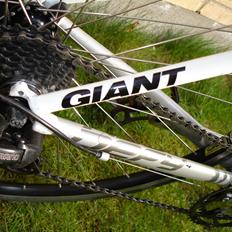 Giant DEFY