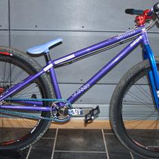 Dartmoor Quinnie -pumpMOORtrack edition