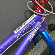 Dartmoor Quinnie -pumpMOORtrack edition