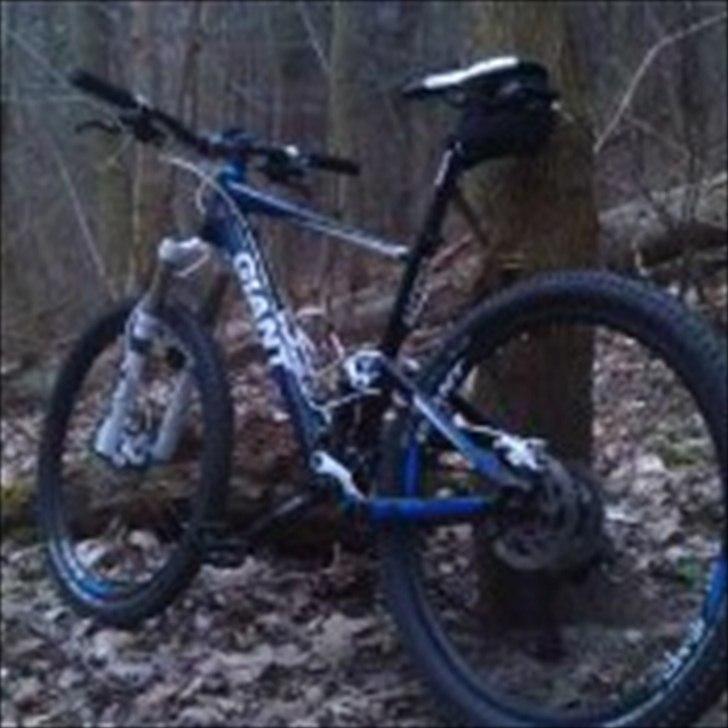 Giant Anthem X4 billede 1