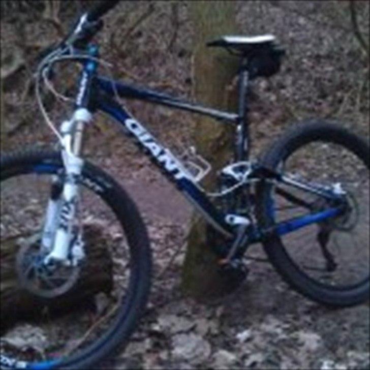 Giant Anthem X4 billede 2