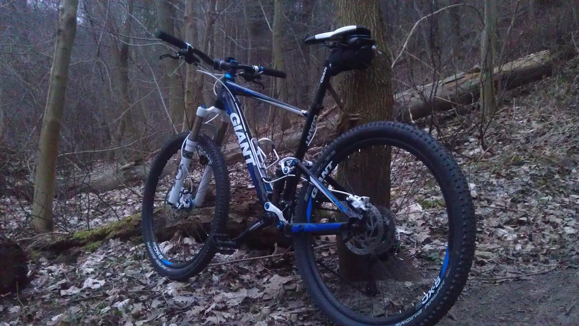 Giant Anthem X4 billede 5