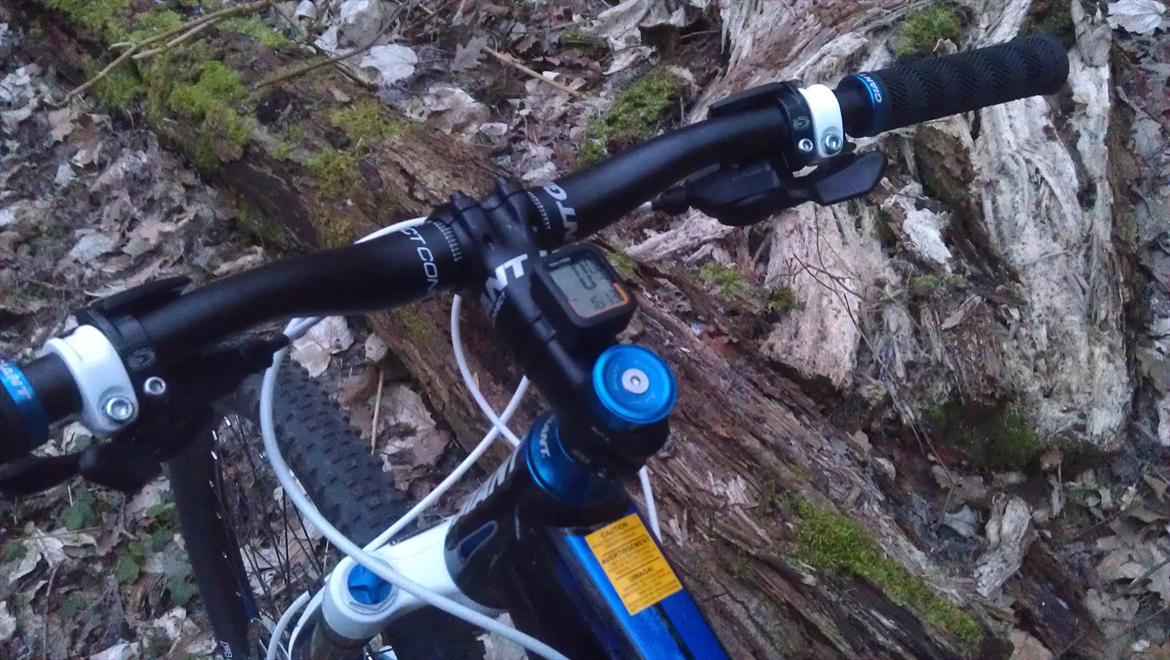 Giant Anthem X4 billede 6