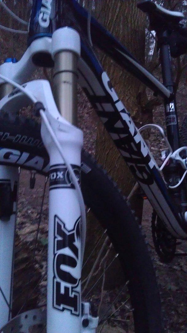 Giant Anthem X4 billede 10