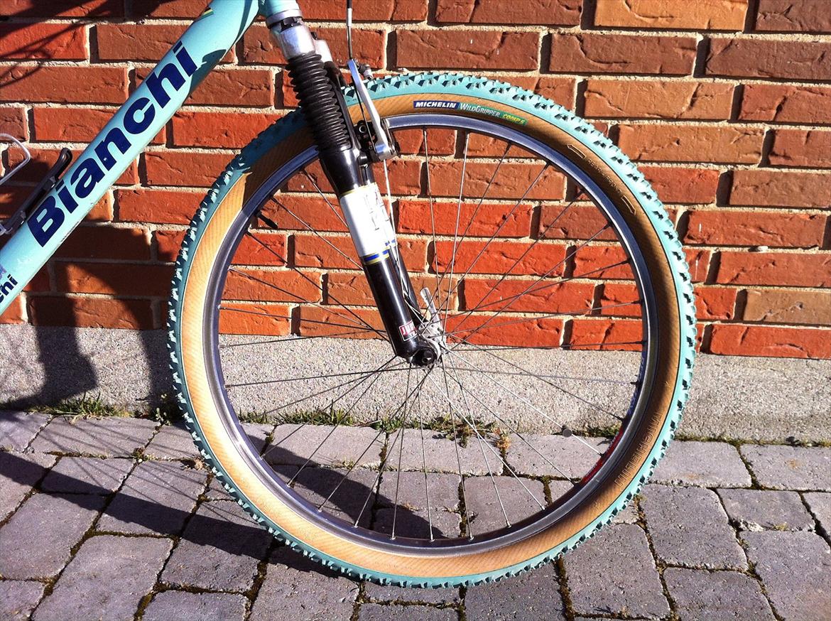 Bianchi Martini Racing billede 2