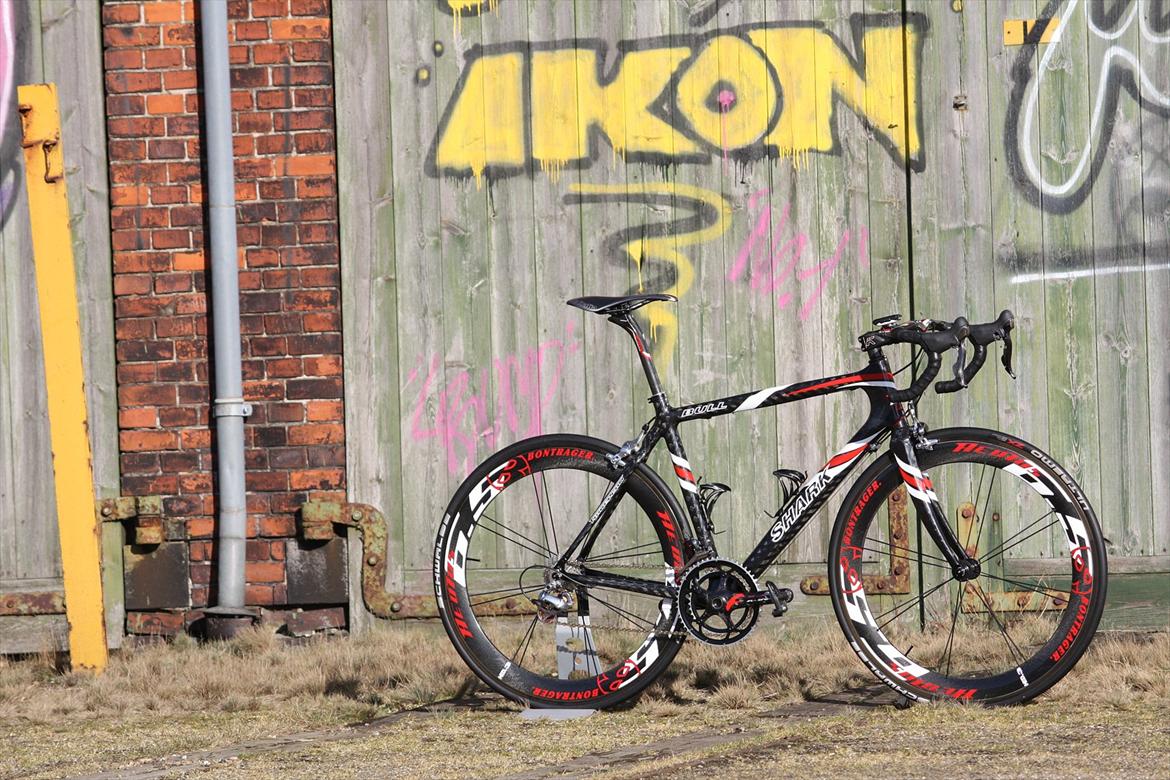 T-bikes Shark Bull (SOLGT 13-08-13) billede 19