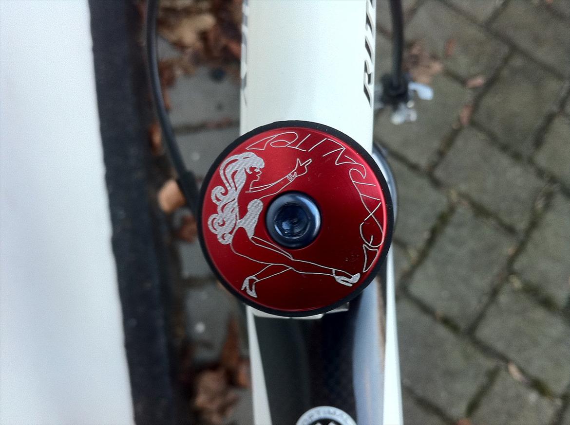 Argon 18 Gallium Pro billede 16